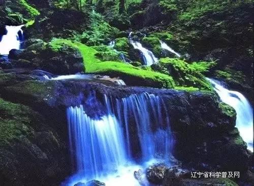 梦幻西游3D