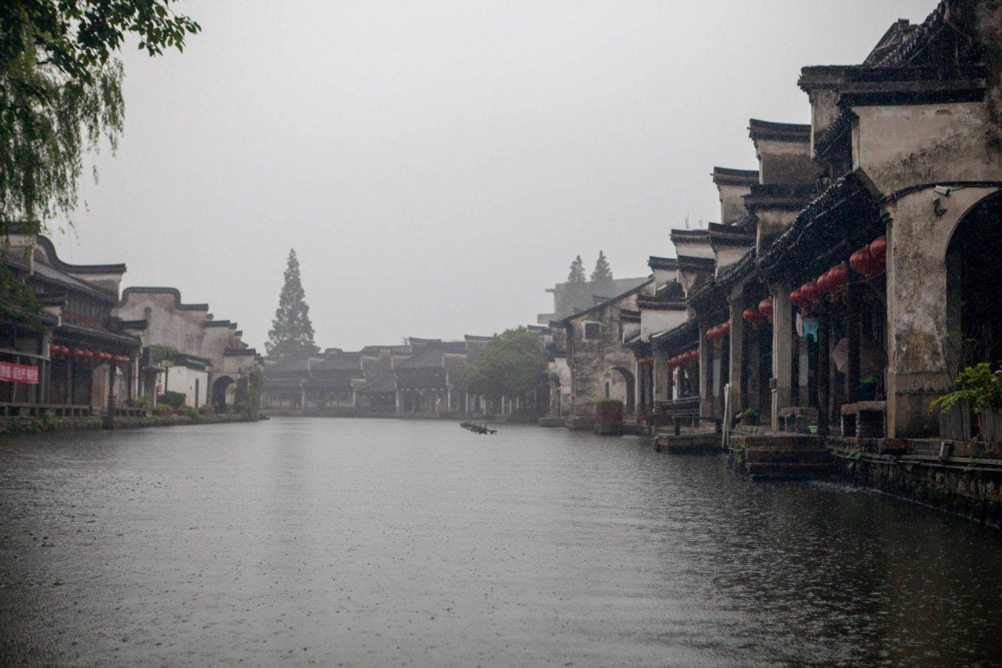 拯救红松鼠